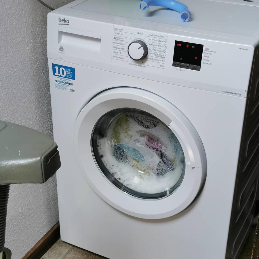 Apartamento Urlaub Auf Dem Bauernhof Netphen Exterior foto