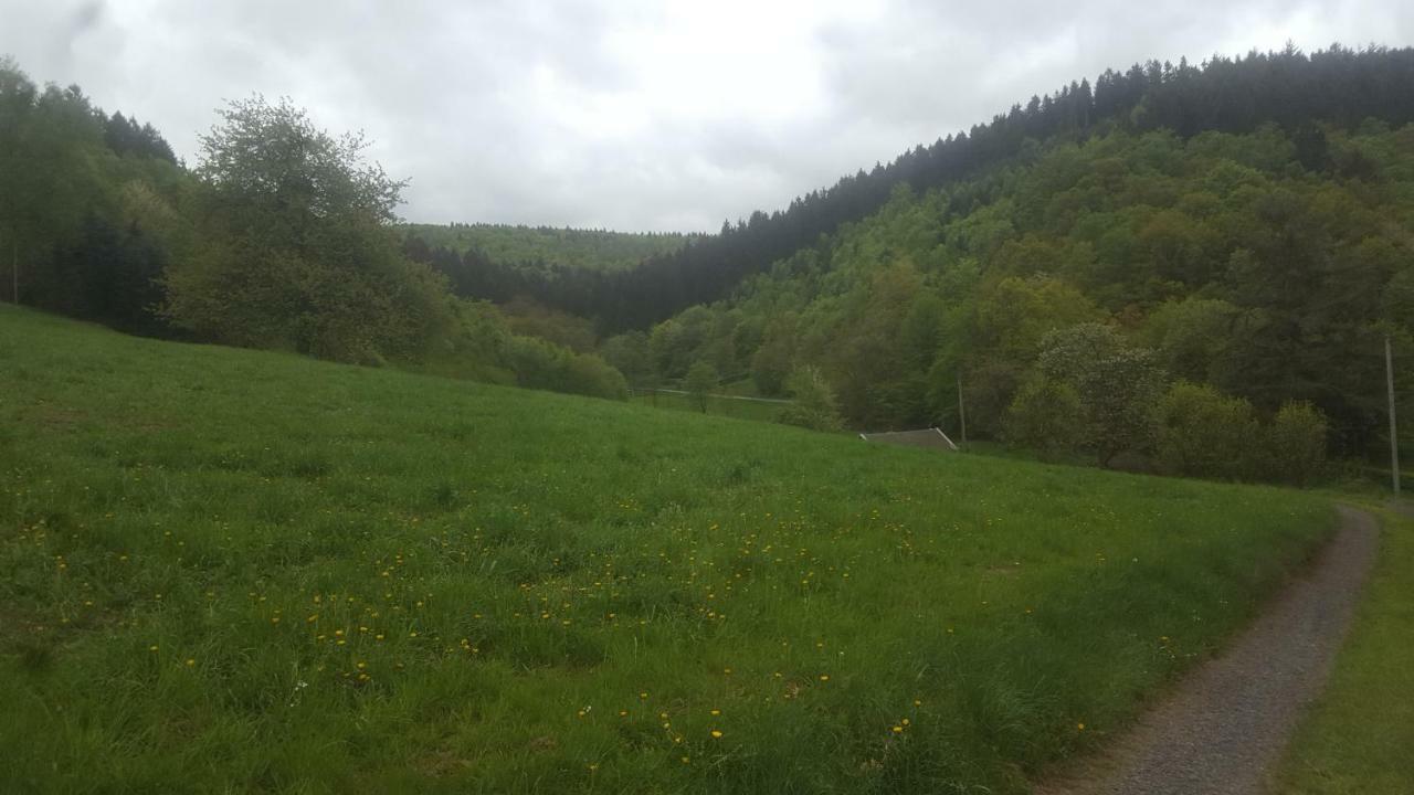 Apartamento Urlaub Auf Dem Bauernhof Netphen Exterior foto